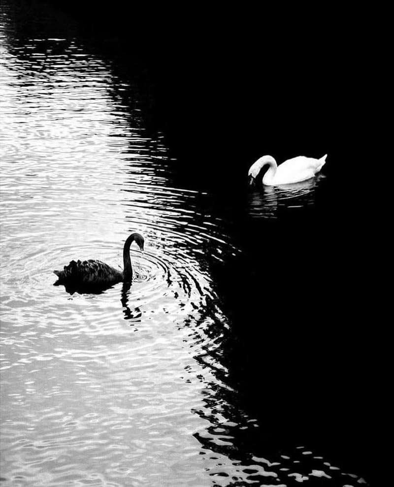 Speaking is not black and white